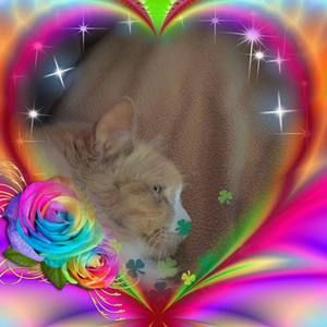 Meet your Posher, Joanna